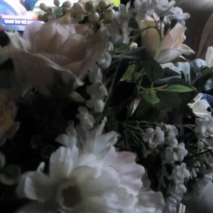 Meet your Posher, Roya